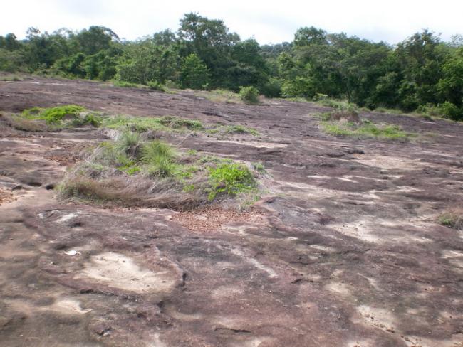SANY7138.jpg
